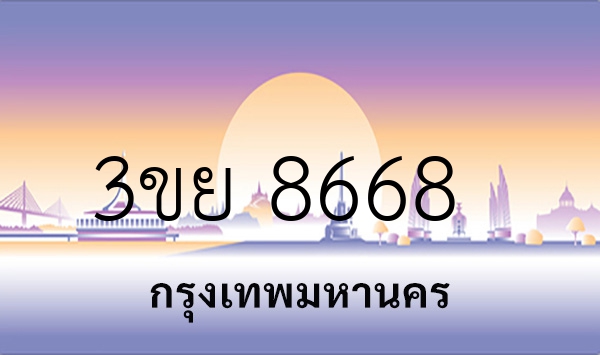 3ขย 8668